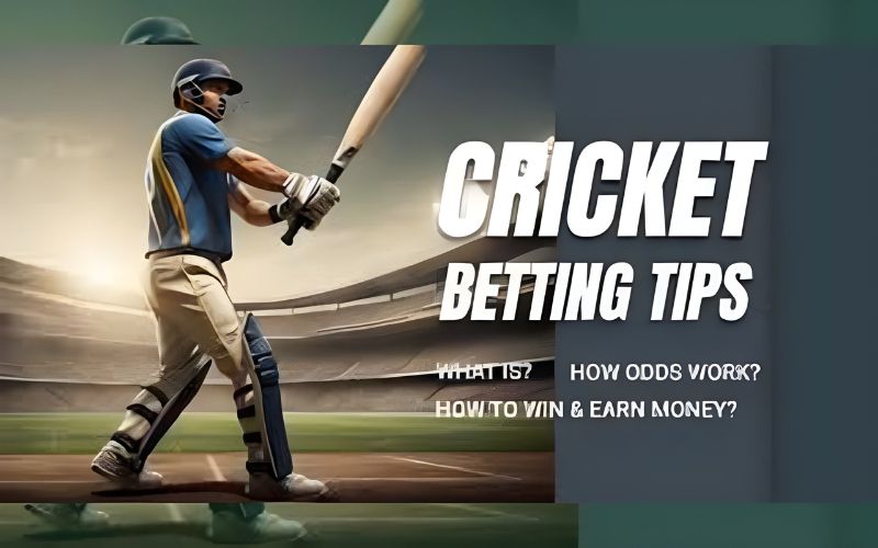 online cricket betting tips