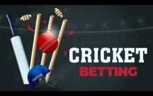 online cricket betting